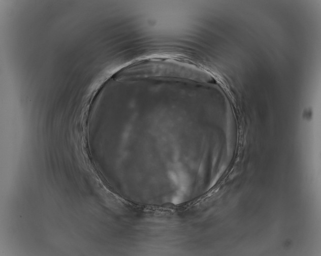 X0000091060337200708201350