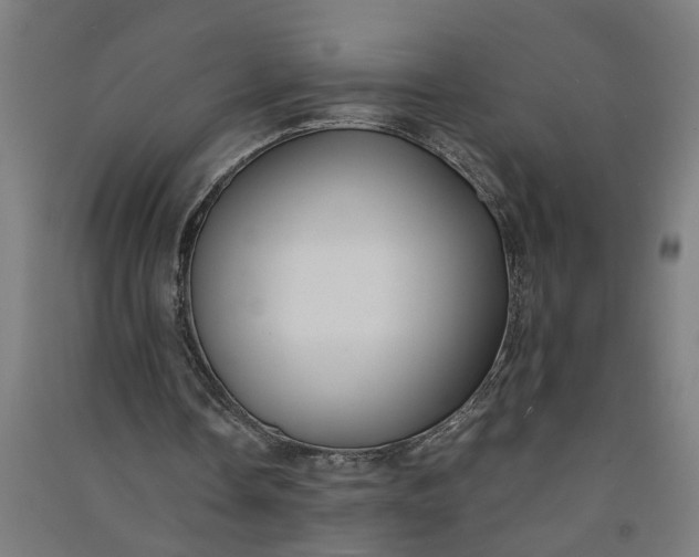X0000091060338200708201350