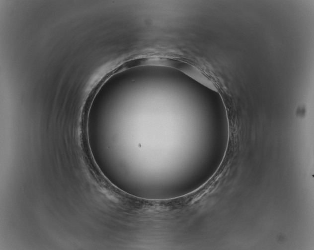 X0000091060340200708201350