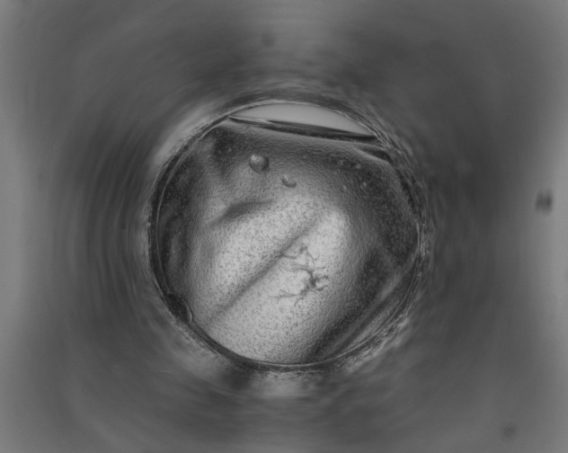 X0000091060341200708201350