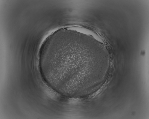 X0000091060342200708201350