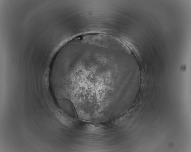 X0000091060346200708201351