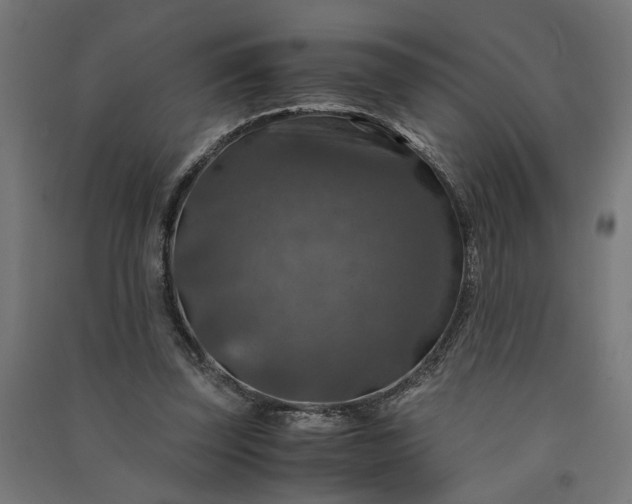 X0000091060347200708201351