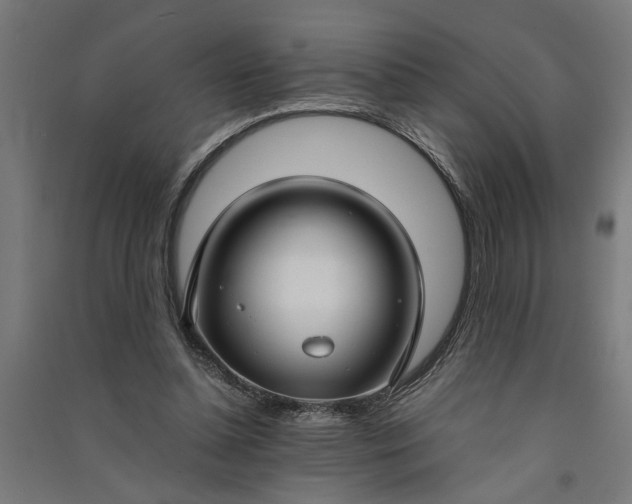 X0000091060348200708201351