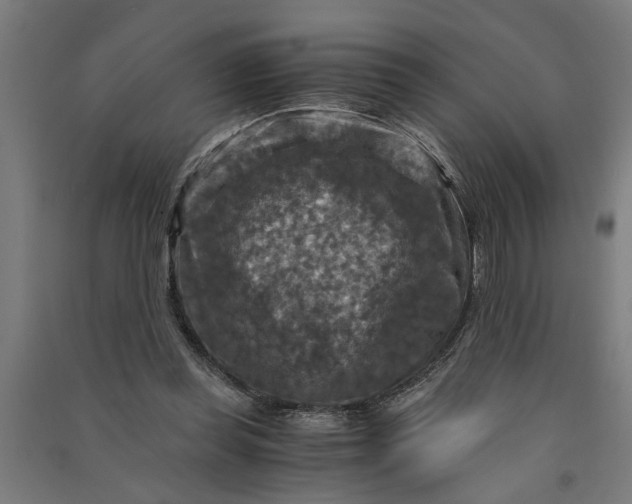 X0000091060349200708201351
