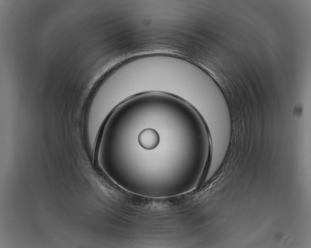 X0000091060350200708201351