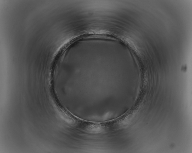 X0000091060351200708201351
