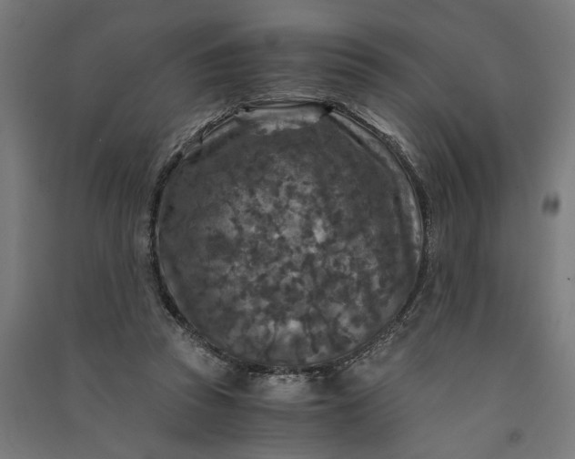 X0000091060353200708201351