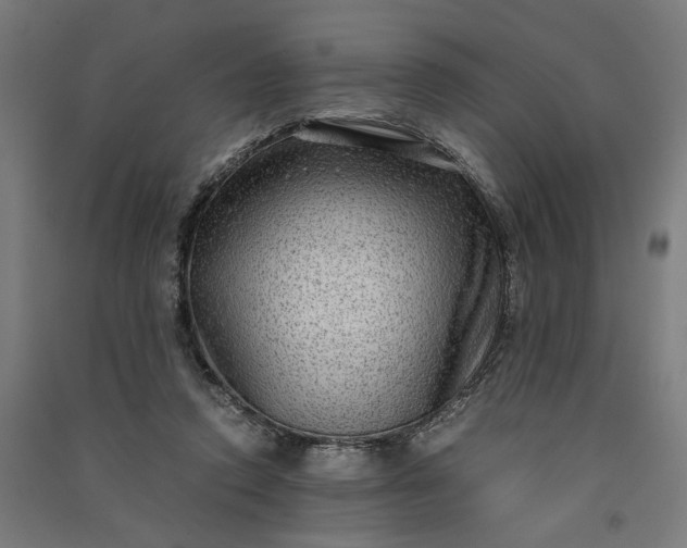 X0000091060354200708201351