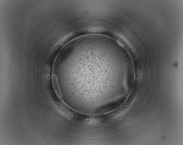 X0000091060356200708201351