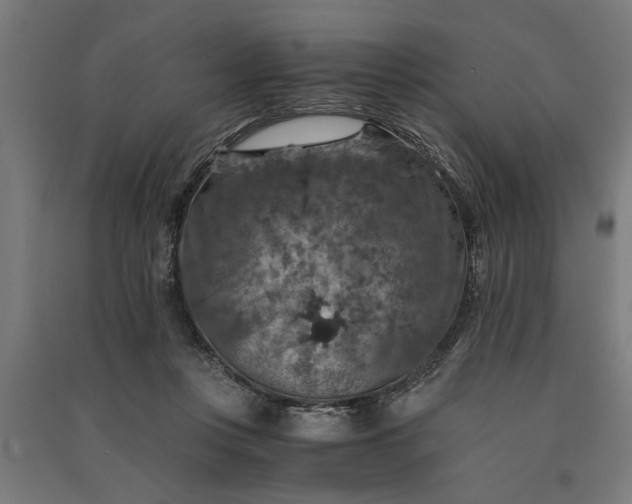 X0000091060359200708201351