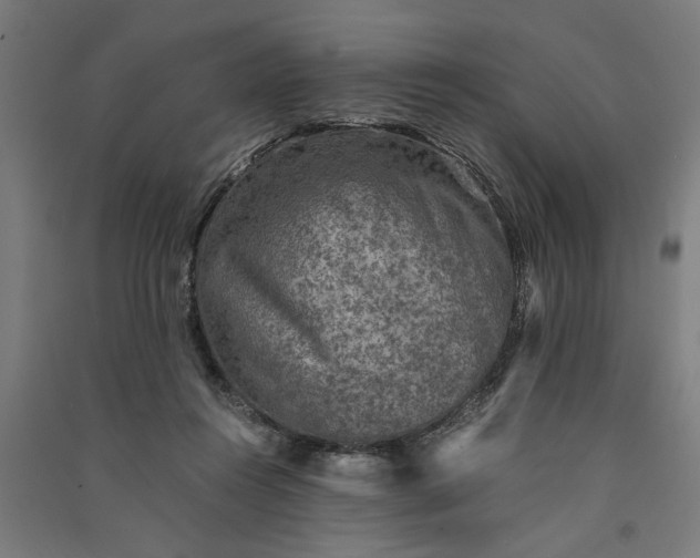 X0000091060360200708201351