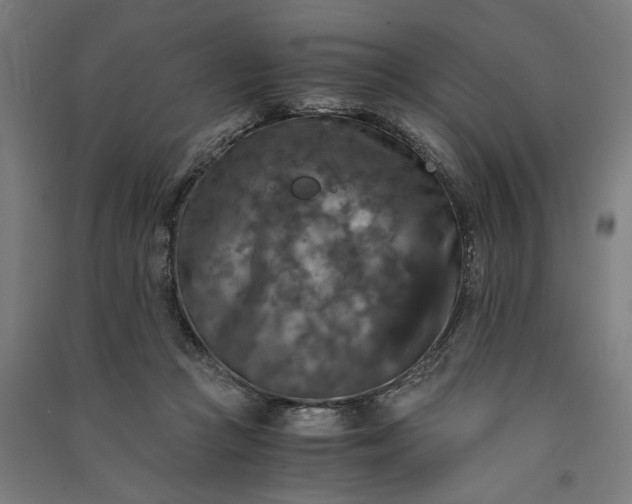 X0000091060361200708201351