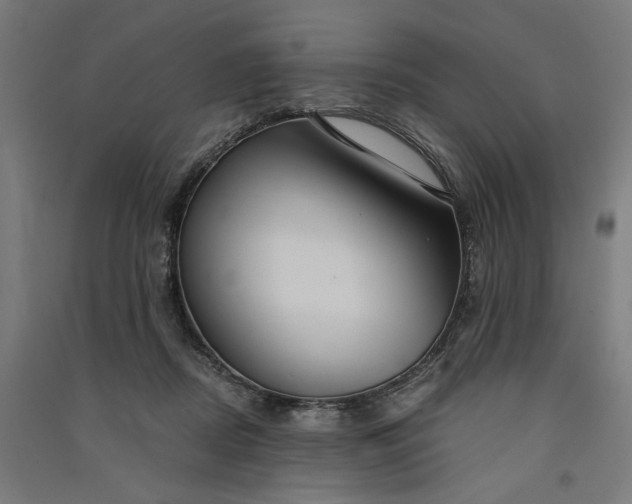 X0000091060362200708201351