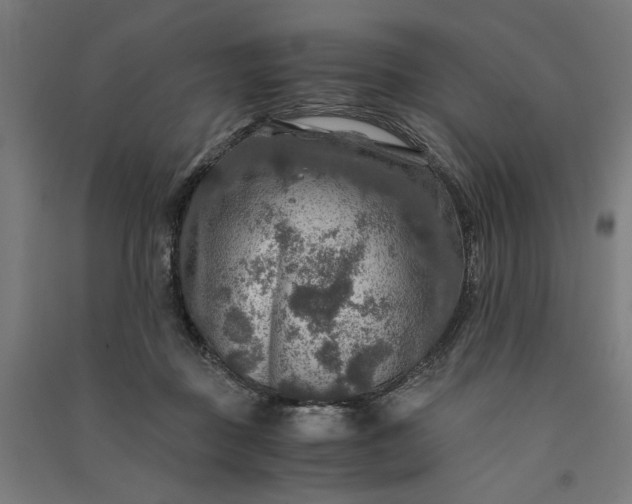 X0000091060363200708201351