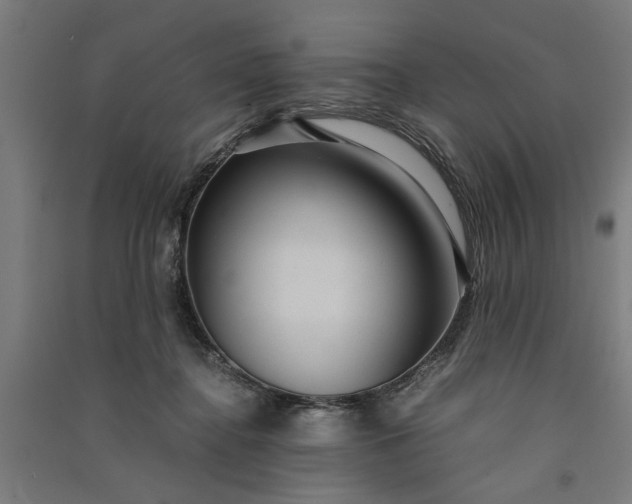 X0000091060364200708201351