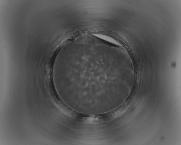 X0000091060366200708201351