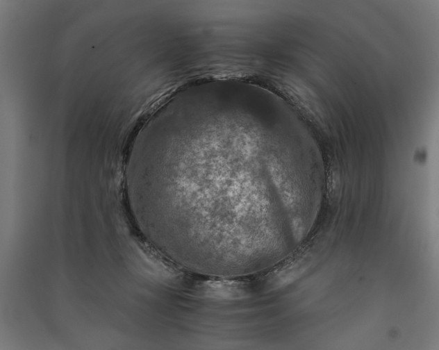 X0000091060367200708201351