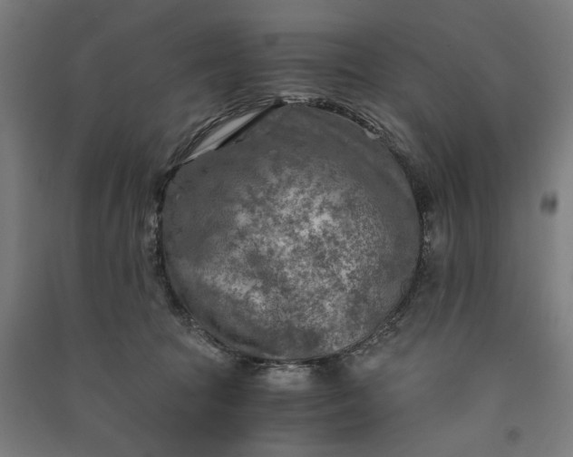 X0000091060369200708201351