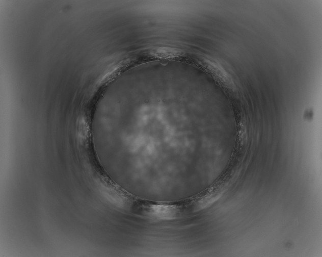X0000091060371200708201351