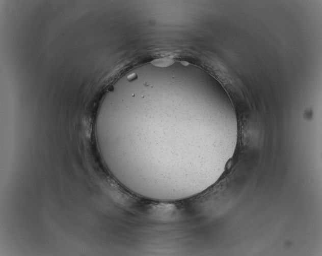 X0000091060374200708201351