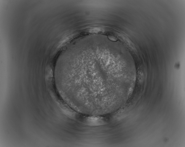X0000091060375200708201351