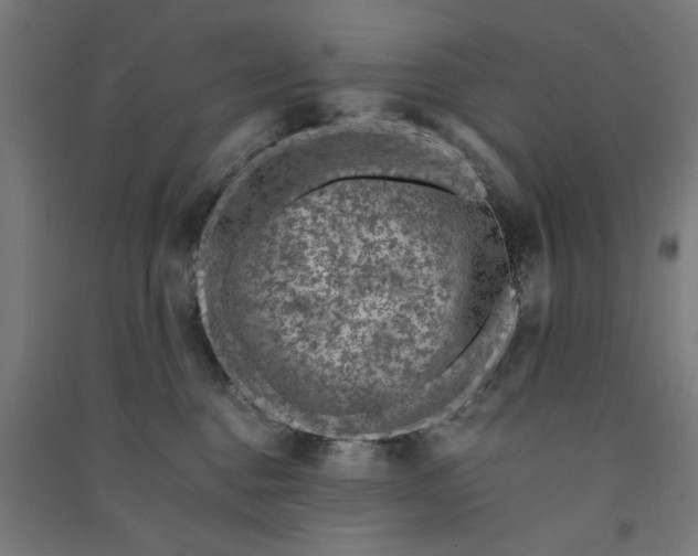 X0000091060376200708201351