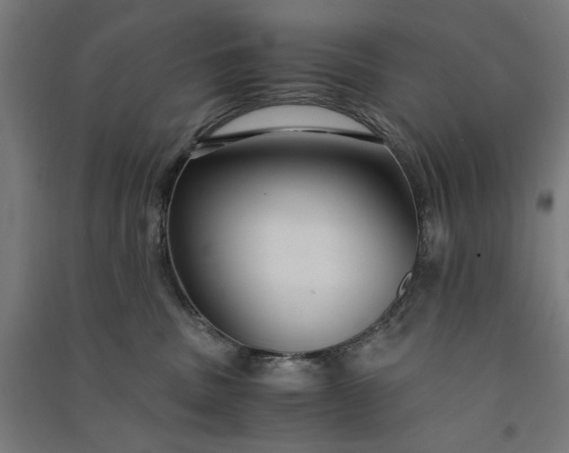 X0000091060379200708201351