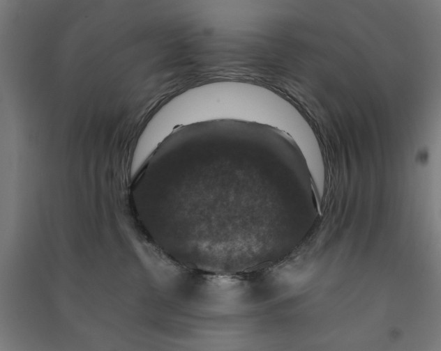 X0000091060380200708201351