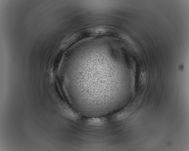 X0000091060381200708201351