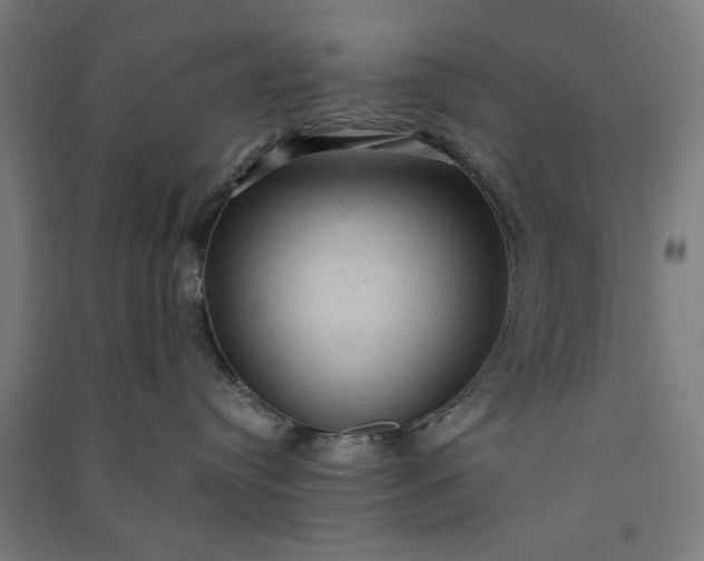 X0000091060384200708201351