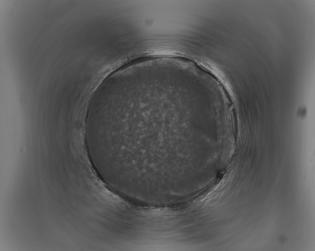 X0000091060385200708201350