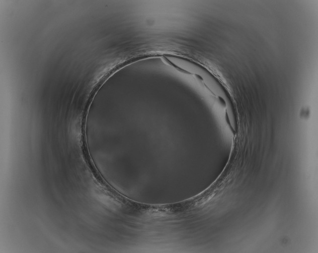 X0000091060386200708201350