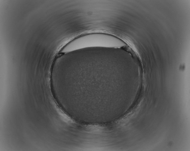 X0000091060389200708201350