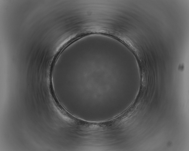 X0000091060390200708201350