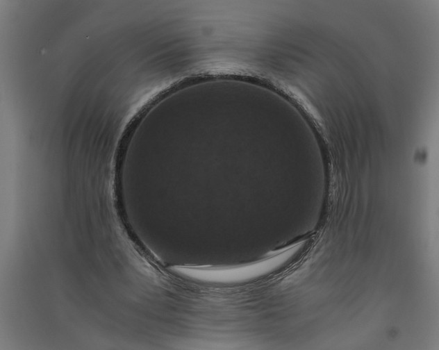 X0000091060391200708201350