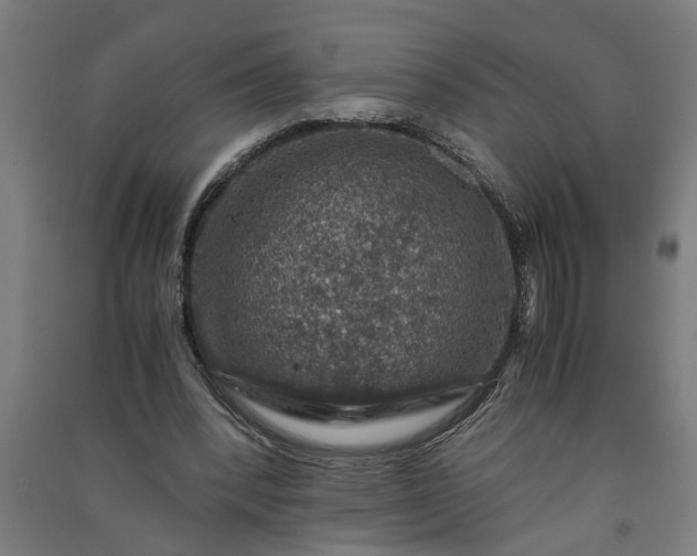 X0000091060392200708201350