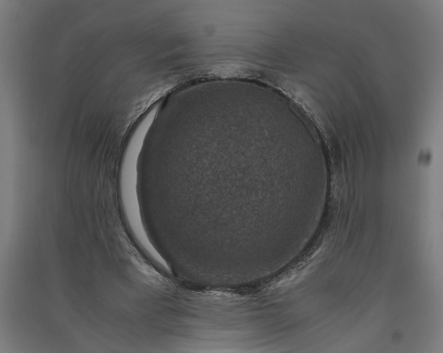 X0000091060393200708201350