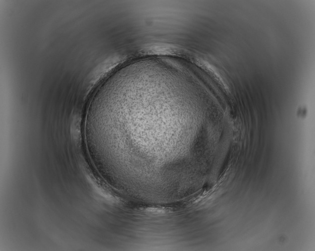 X0000091060394200708201350
