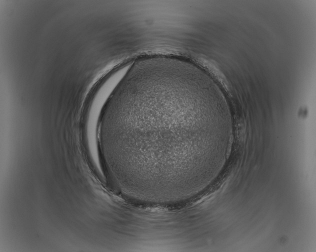 X0000091060395200708201350