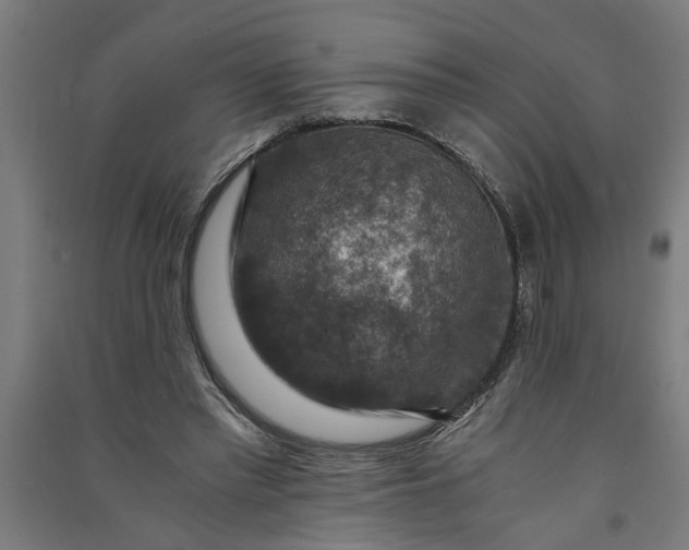 X0000091060397200708201350
