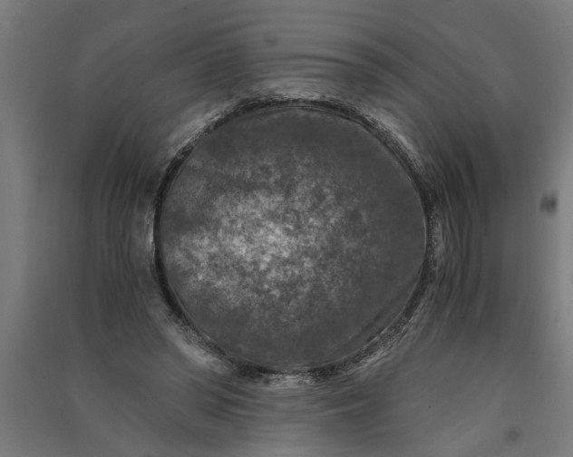 X0000091060398200708201350