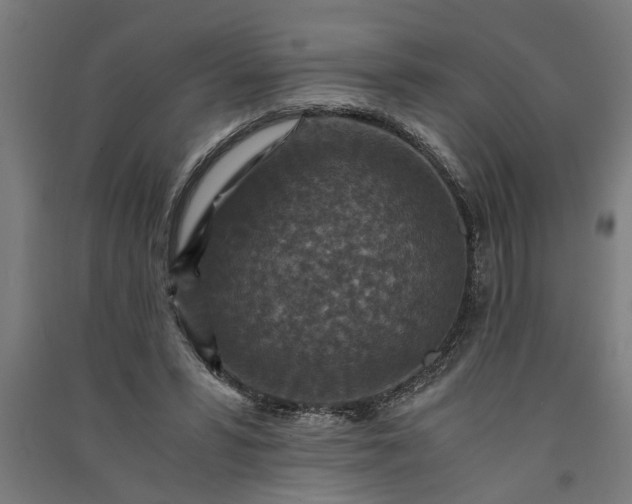 X0000091060399200708201350