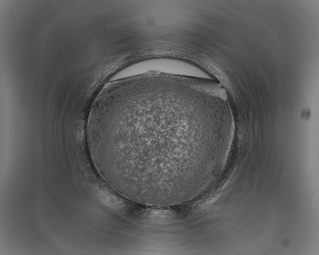 X0000091060401200708201350