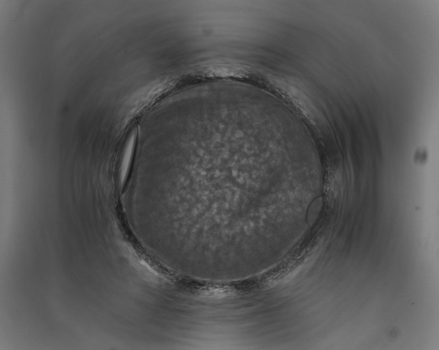 X0000091060402200708201350