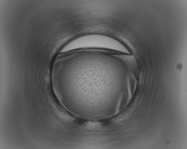X0000091060403200708201350