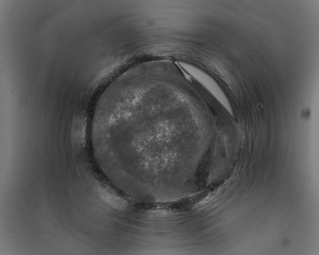 X0000091060404200708201350