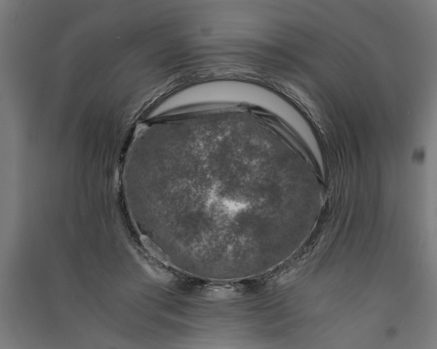 X0000091060405200708201350