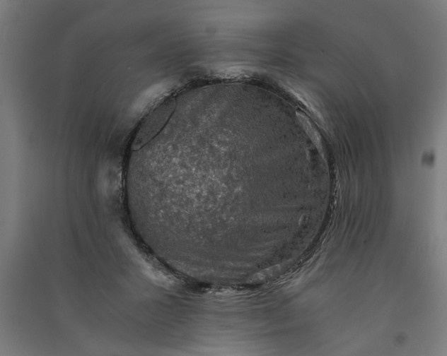 X0000091060407200708201350