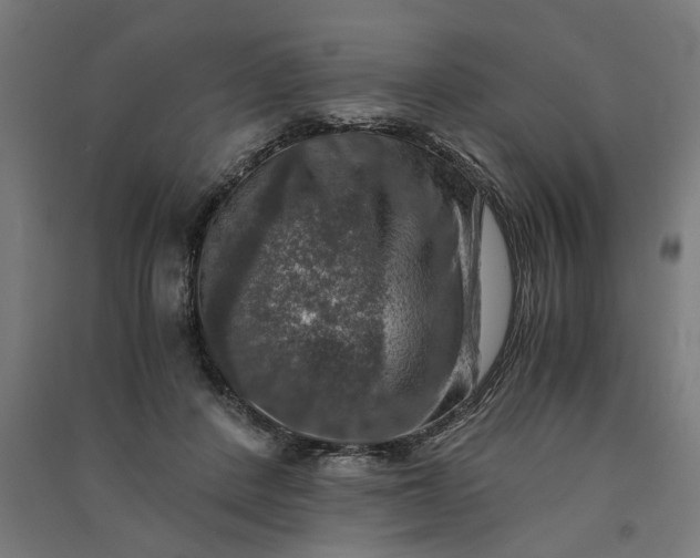 X0000091060408200708201350